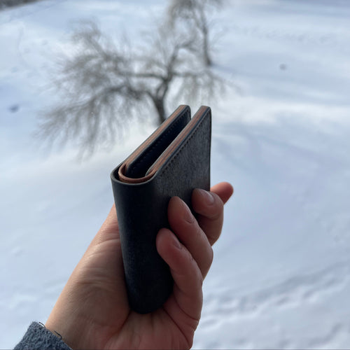 Hand holding a black leather wallet against a snowy background